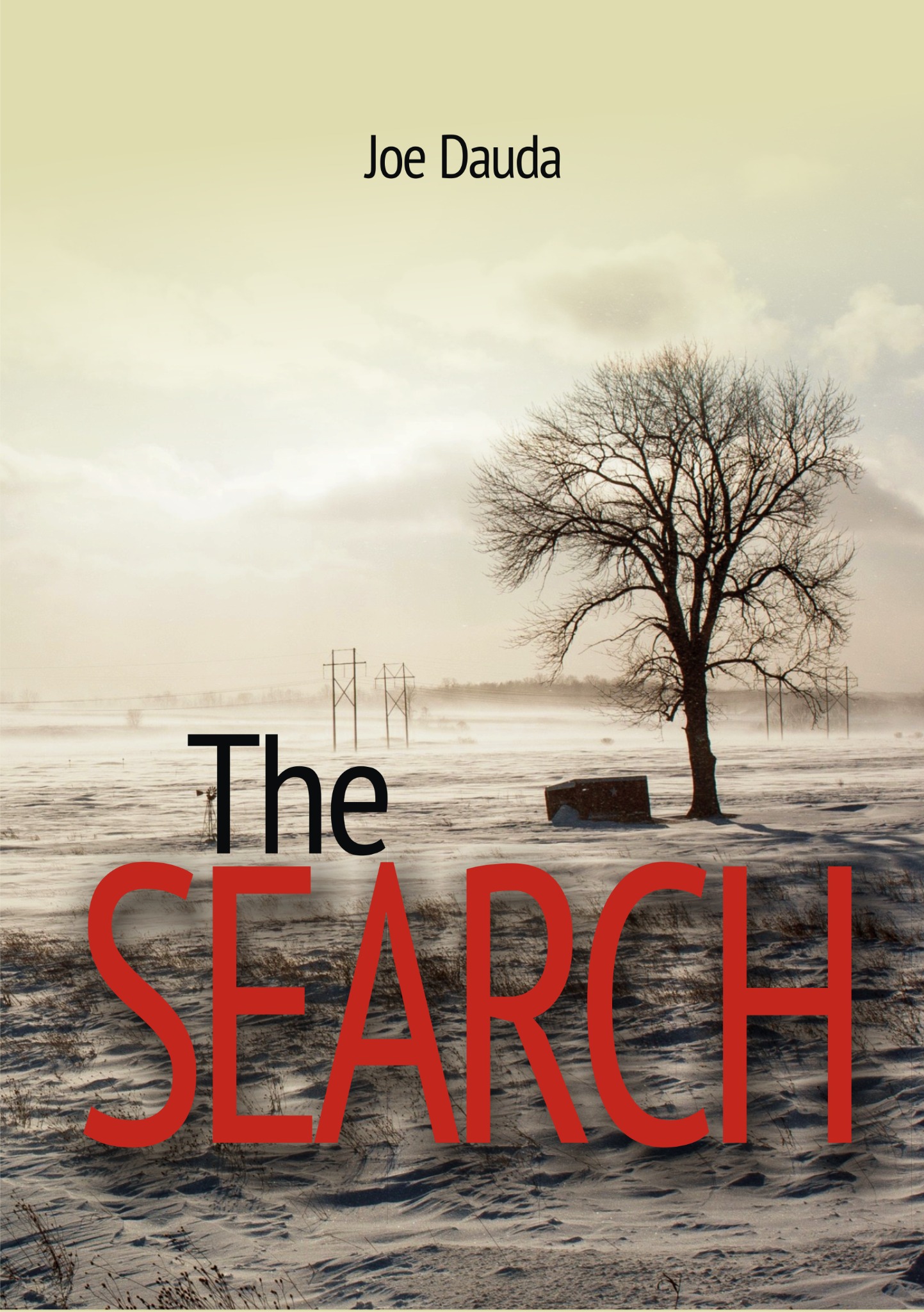 The Search book cover